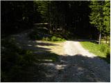 Gozdarska koča Rovtarica - Planina Tamar